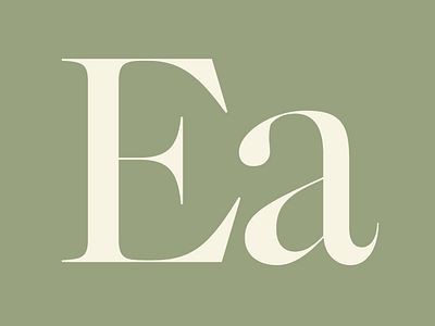 Parisian Caslon caslon high contrast optical size typeface typography zecraft