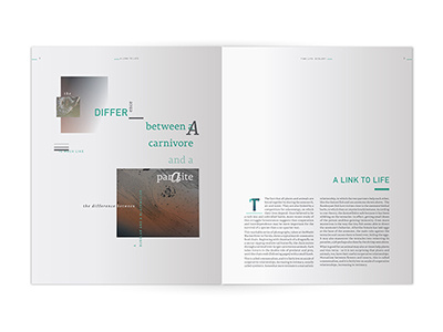 Ecology TimeLife Book book collage ecology minimal plants redesign teal