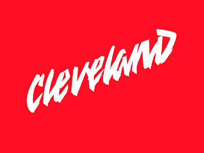 Born & Raised cleveland hand drawn handdrawn illustration lettering letters logo script type typography