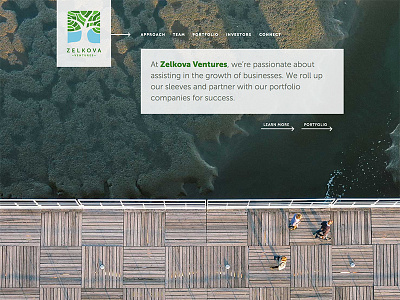 Zelkova design responsive website wordpress