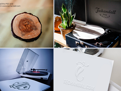 Logo Mockup PSD branding designs free freebie logo mockup photo presentation psd showcase showoff