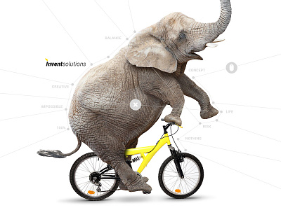 NOTHING IS IMPOSSIBLE! concept elephant impossible yellow