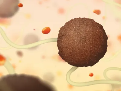 Space Balls floating food gravity illustration meatballs space balls