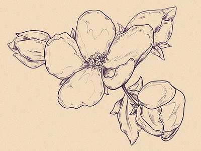 Jens Flower