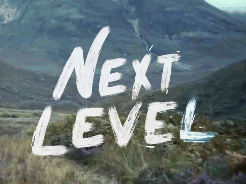 Next Level ae animation brush design gif loop ps titles type