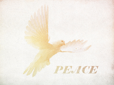 Peace bird dove flying freedom peace texture