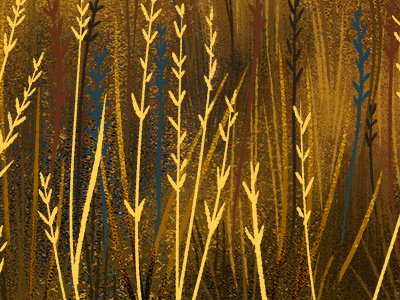 Prairie detail field grass illustration plants prairie wip