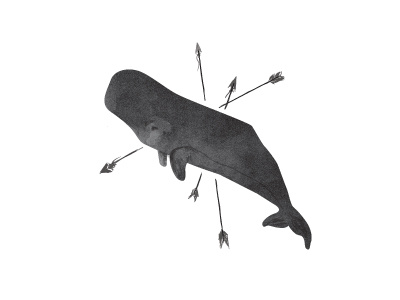 Cannibals arrows branding illustration minimal whale