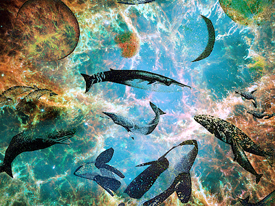 Dawn Of The Whales ocean planets space whales