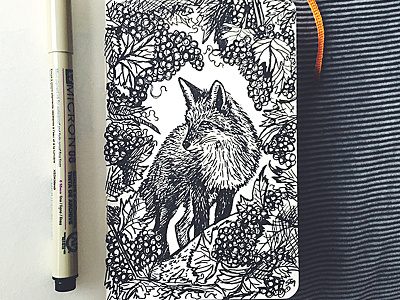 Sly Fox drawing fox grapes sketch vineyard