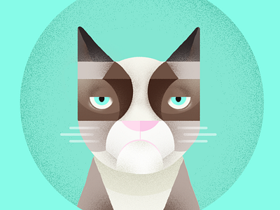 Cat Illustration cat geometric graphic grumpy illustration texture