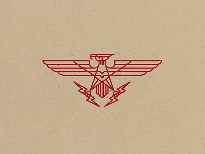 'MURICA! eagle illustration lightning murica! star