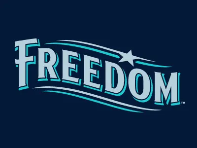 2015 Atlantic League ASG Lettering baseball branding lettering sports star uniform wordmark