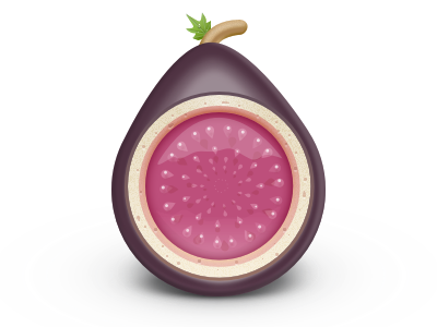 FigWheel Icon fig fruit icon