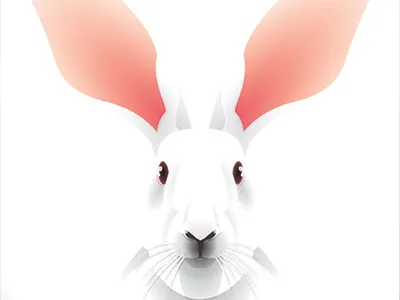 Florence Bunny illustrator pet portrait