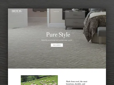 Helios Carpet Website ui ux web design