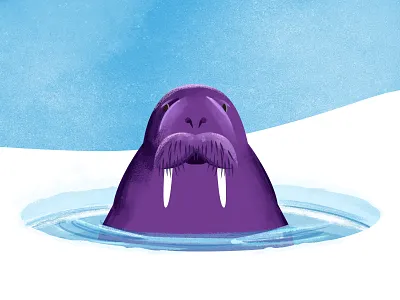 Frosty walrus