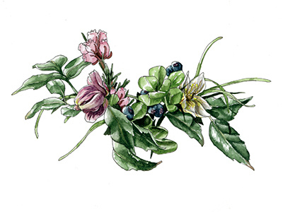 Back-Shy/Low floral flourish flowers hand insignia painted watercolor