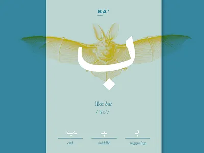 Ba' arabic calligraphy card illustration language learning letter