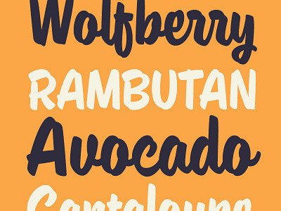 Paintlay typeface 1/3 brush font script type type design typedesign typography