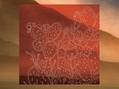 Cactus illustration cactus desert illustration orange