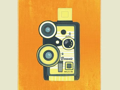 Brownie illustration old cameras vector