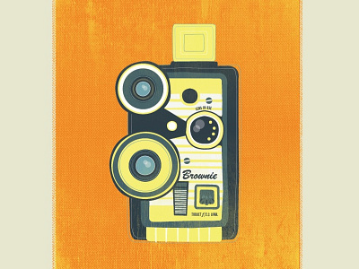 Brownie illustration old cameras vector