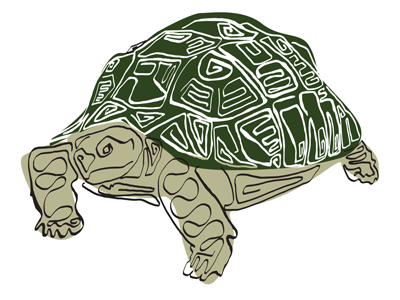 Turtle Stroke illustration