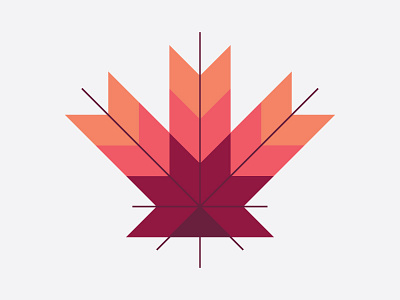 Maple Leaf canada illustration maple leaf