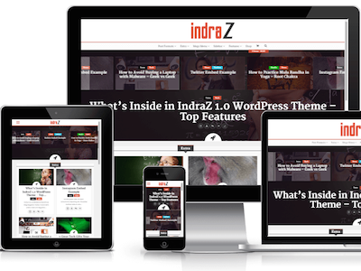 IndraZ - A Premium Clean Wordpress Theme on ThemeSnap cms mock up responsive theme themesnap web wordpress