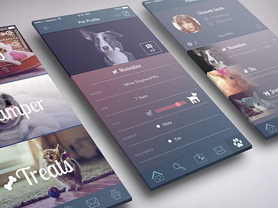 PetHome app animals app design mockup pet ui ux