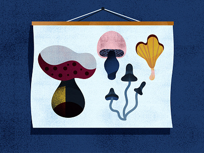 Mushrooms illustration mushrooms nature