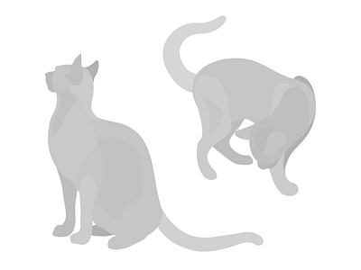 Cats animal cat illustration