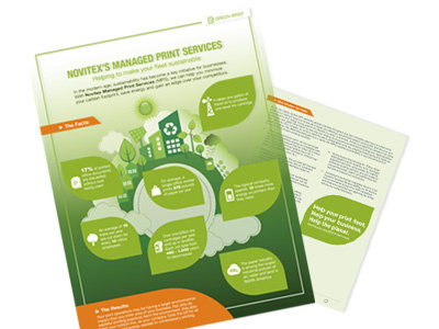 Green Brief branding corporate illustrator indesign infographic pdf print