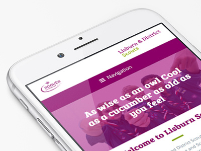 Lisburn & District Scouts clean responsive ui ux website wordpress