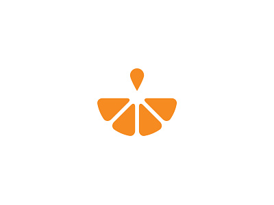 Fresh Fruit Baskets Logo Icon basket drip drop fresh icon logo orange wedge