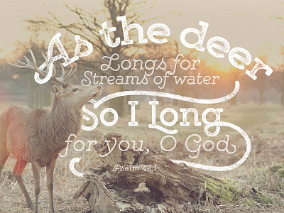 As The Deer lettering typography wallpaper