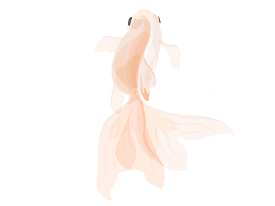 Goldfish animal fish goldfish illustration