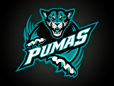 Pumas pumas