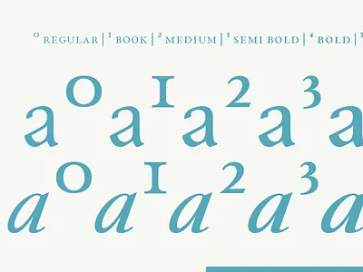 colors paciencia type family typedesign typography