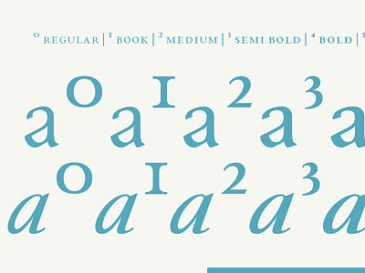 colors paciencia type family typedesign typography