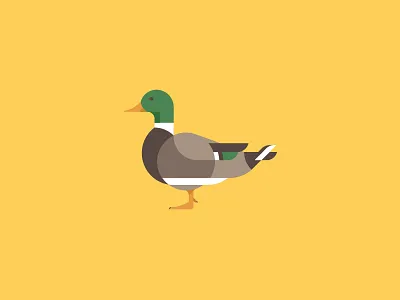 Duck animal bird duck icon illustration vector