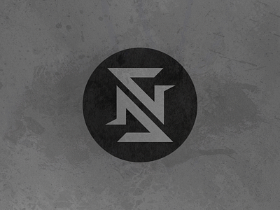 NS Logo branding creation design eraless logo logotype monogram signature