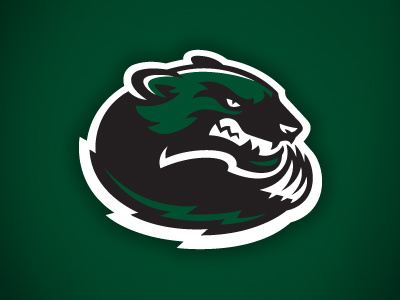 Wolverines wolverines