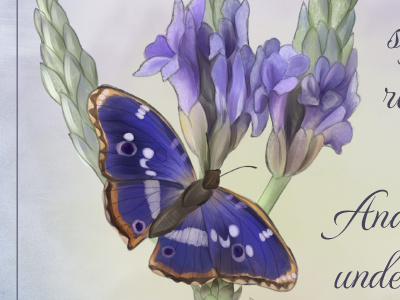 Butterfly & Wildflower Inspirational bible butterfly verse wildflower