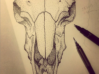 Ram skull anatomy dots illustration ram realistic skull