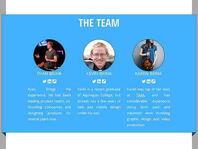 Website Team Section design landing page responsive single page team website