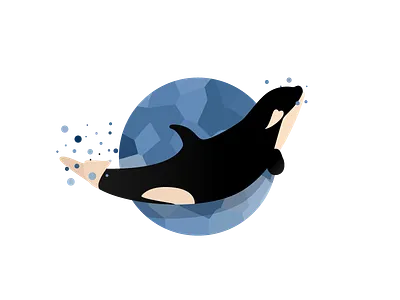 Happy Baby Orca baby illustration orca vector whale
