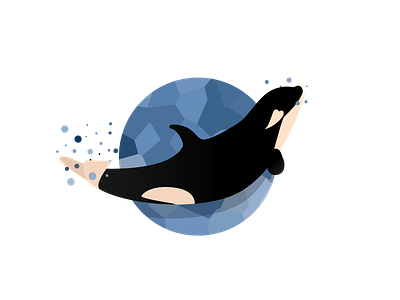 Happy Baby Orca baby illustration orca vector whale