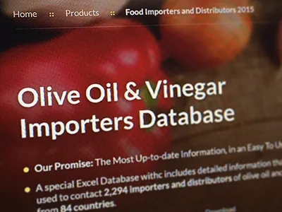 Web Design Proposal database design proposal web